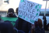 Protest pod siedzibą Lasów Państwowych w Katowicach. Przyrodnicy walczą o drzewa przy rezerwacie Madohora 