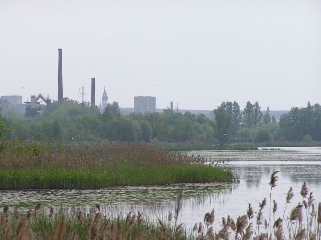 Echo dnia starachowice - artykuły | Starachowice Nasze Miasto