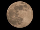Superksiężyc we Wrocance koło Jasła. Najjaśniejsza pełnia w 2020 roku! [ZDJĘCIA I FILM]