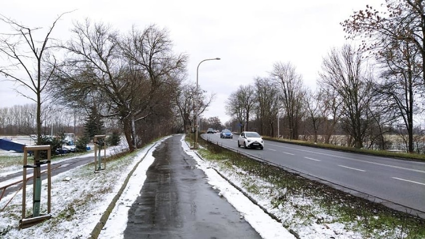 Trasy dla cyklistów w Opolu - planowana wzdłuż ul....