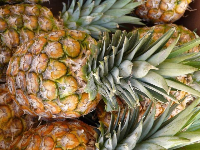 Ananas jest zaliczany do jednego z trzech najważniejszych owoców tropikalnych, zaraz po mango i bananach. Jak się również okazuje, należy do obfitych owoców, gdyż w ciągu roku produkuje się aż ok. 14 ton ananasa! Jakie właściwości ma ananas? Dlaczego gdy go jemy, czujemy lekkie szczypanie w jamie ustnej? Kto nie powinien jeść ananasa? Tego dowiesz się w naszej galerii! ▶▶