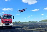 Groźny pożar nieużytków w Lipnej w powiecie żarskim. Z ogniem walczyło kilkanaście zastępów straży pożarnej oraz samolot gaśniczy