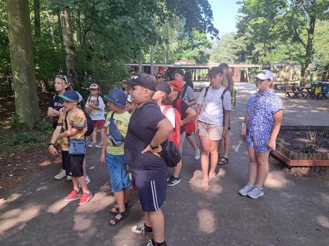 Gminny Ośrodek Kultury w Ryczywole przygotował dla swoich mieszkańców wiele atrakcji w trakcie trwania wakacji. Jedną z nich był wyjazd do Nowego Zoo w Poznaniu.
