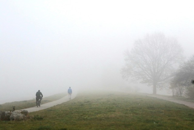 Uwaga na gęstą mgłę w regionie od niedzieli (16.10) do poniedziałkowego przedpołudnia! Ostrzega Wojewódzkie Centrum Zarządzania Kryzysowego.