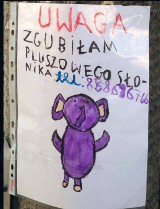Uwaga, zaginął fioletowy słoń. Zobaczcie, jakie ogłoszenie pojawiło się na ulicach Krakowa