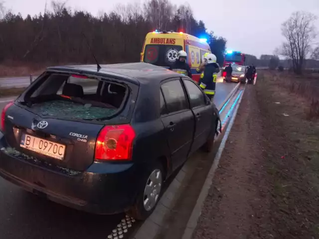 W powiecie hajnowskim dochodzi do zderzeń z dzikimi zwierzętami. Kierowcy powinni zachować szczególną ostrożność ponieważ zderzenie z łosiem czy żubrem jest bardzo niebezpieczne