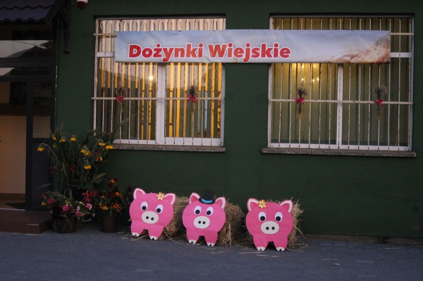 Dożynki wiejskie w Józefowie [ZDJĘCIA]                             