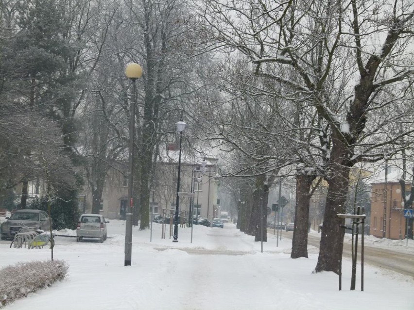 Zima w Zduńskiej Woli nie odpuszcza. Jakie są prognozy?