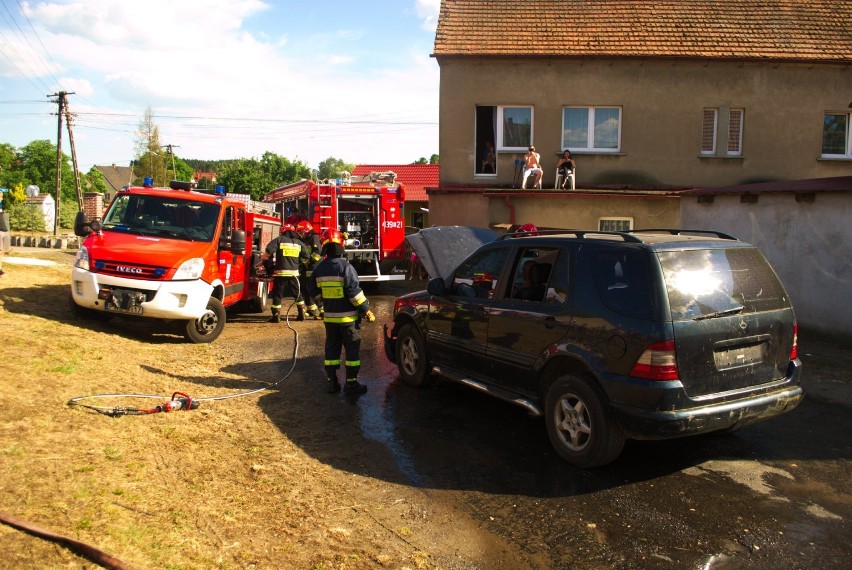 LGIŃ. Udany festyn dla mieszkańców, niektórzy zarejestrowali się jako dawcy szpiku [ZDJĘCIA]