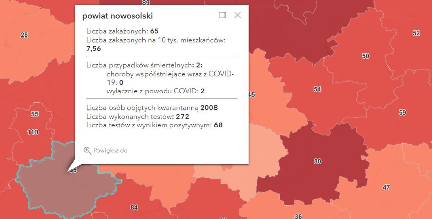 Zrzut ekranu raportu dla powiatu nowosolskiego, 3 grudnia...