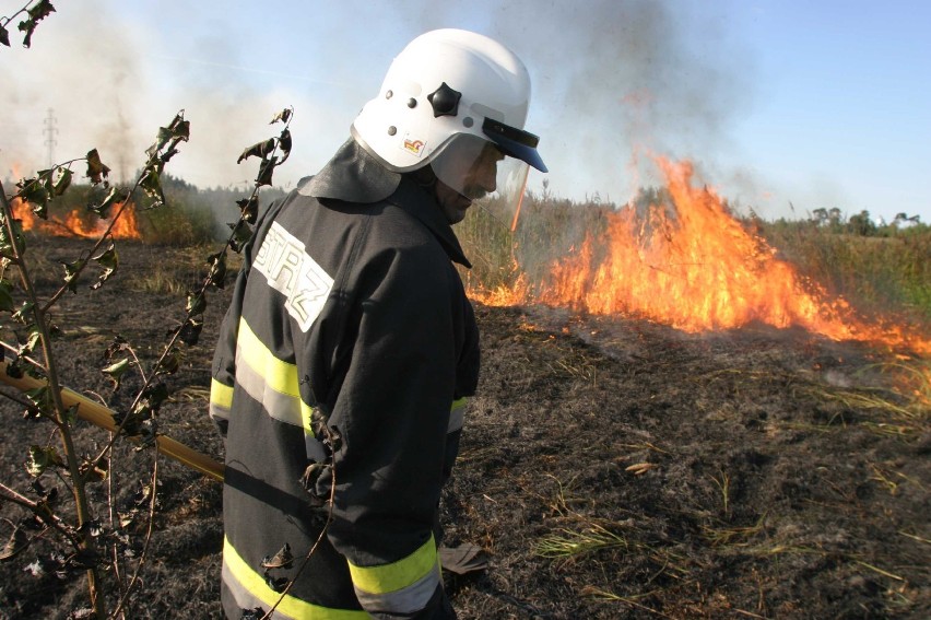 Tylko w tym roku na Mazowszu wybuchło 4,5 tys. pożarów