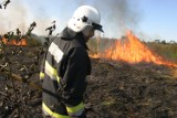 4,5 tysiąca pożarów na Mazowszu. Statystyki są niepokojące