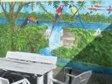 Roberto Vergara Lino z Salwadoru namalował kolejne piękne murale w Radomiu. Można je podziwiać w dwóch radomskich hostelach