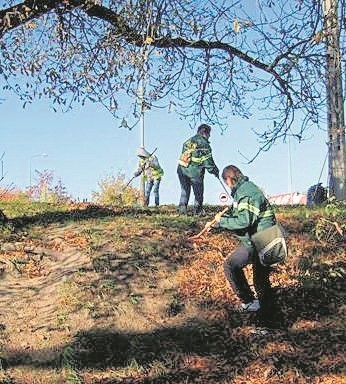 Uczestnicy programów prowadzonych przez CIS są widoczni w mieście