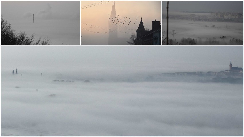 Mgła spowiła sporą część Tarnowa. Gdzieniegdzie wystawały z...