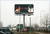 Billboard Legnica: Reklamują strony z tematyką pornograficzną