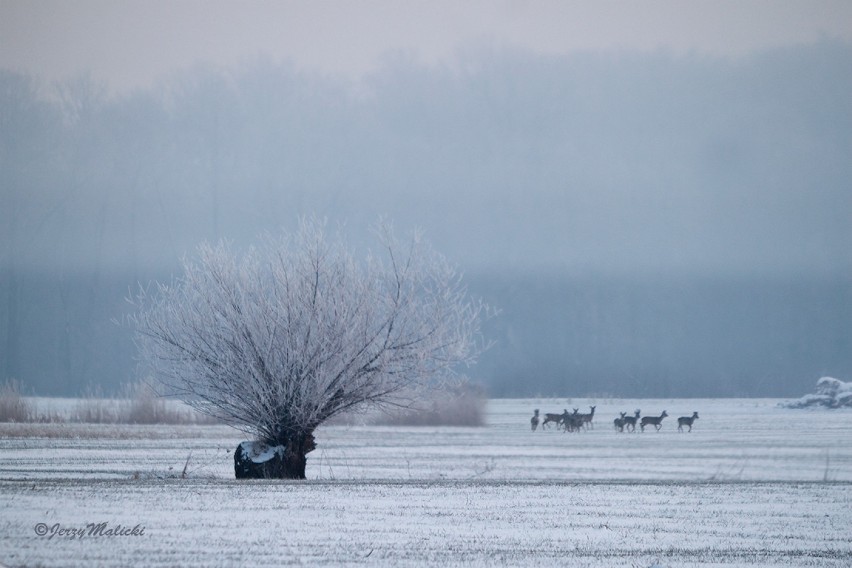 Sobota 7:30, - 26 ºC