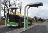 Ostrów Wielkopolski: Rewolucja w MZK będą elektryczne autobusy