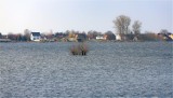 W Lubuskiem mamy podwodny park narodowy! Rozlewiska w "Ujściu Warty" robią wrażenie