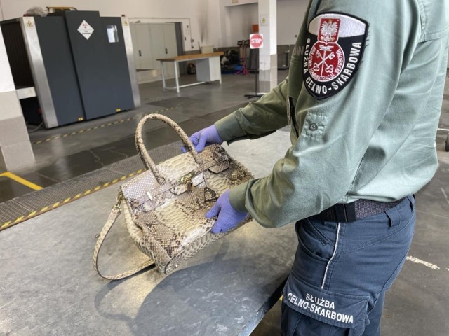 Podczas kontroli granicznej w Krościenku celnicy wykryli próbę przemytu torebki wykonanej ze skóry chronionego gatunku węża.
