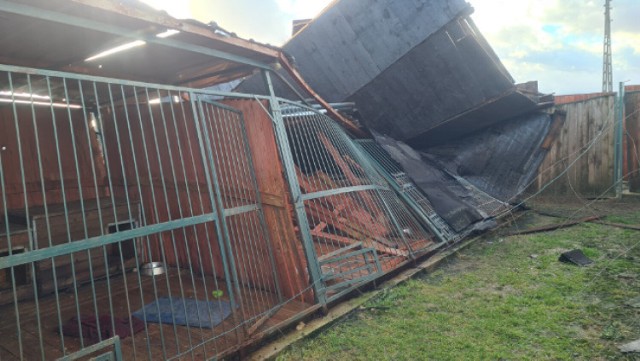 Silne wiatry uszkodziły 15 kojców, zniszczeniu uległ również dach o powierzchni 560 metrów kwadratowych. Potrzebna jest pomoc!