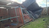 Gmina Lwówek: Potrzebna pomoc dla schroniska "Zwierzakowo" w Posadówku! Po ostatnich wichurach zniszczeniu uległ dach i kojce dla psów!