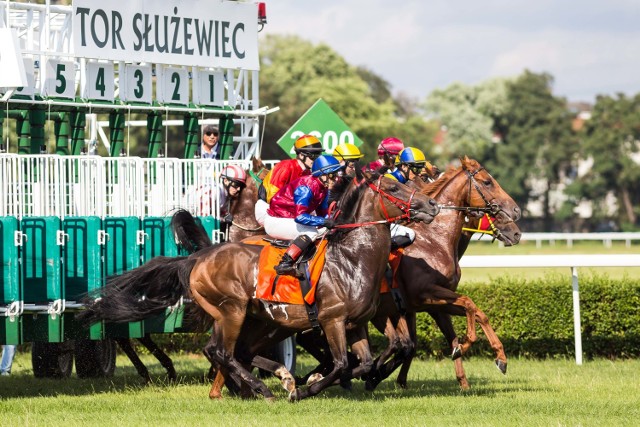 Gala Derby na Służewcu. Konie walczyły o Puchar Prezydenta. Wielki trumf faworyta [ZDJĘCIA]