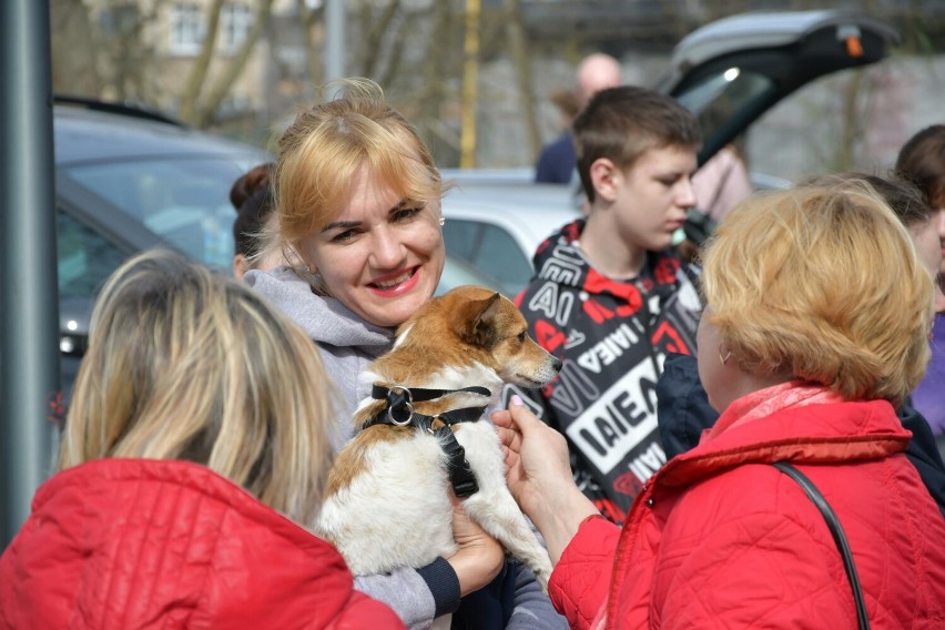 Ukraińcy posprzątali w Stargardzie. W ten sposób dziękują za udzieloną im pomoc