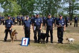 "Black" z Torunia najlepszym psem polskiej Policji