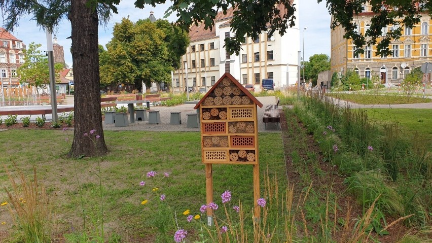 Tak obecnie wygląda park w centrum Gubina. Jak Wam się...