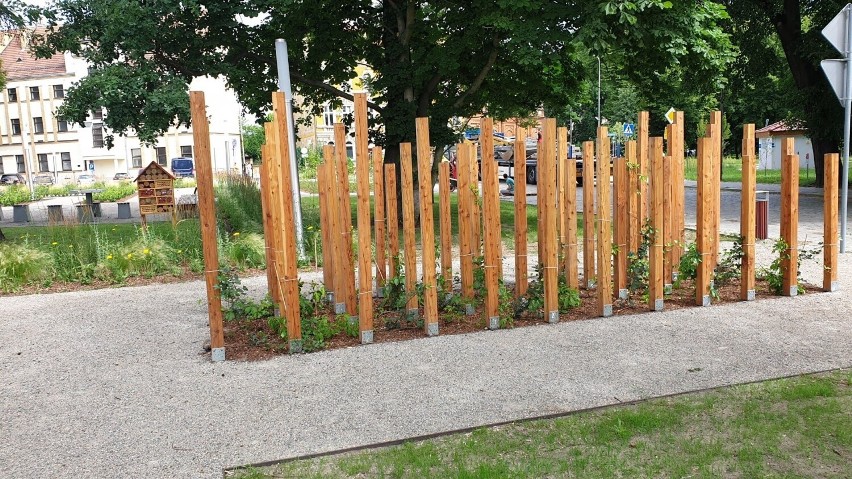 Tak obecnie wygląda park w centrum Gubina. Jak Wam się...