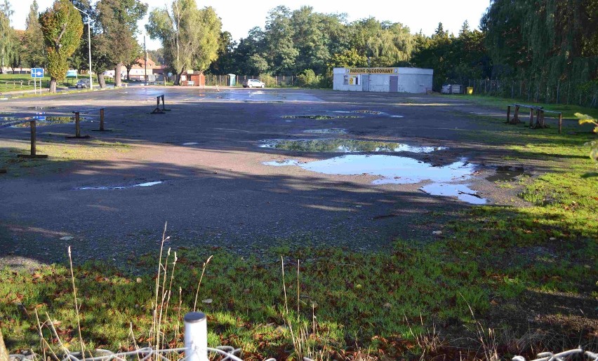 Malbork. Urząd Miasta wystawi do sprzedaży sporo nieruchomości