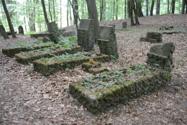 Lubuskie rezerwaty często nas zaskakują