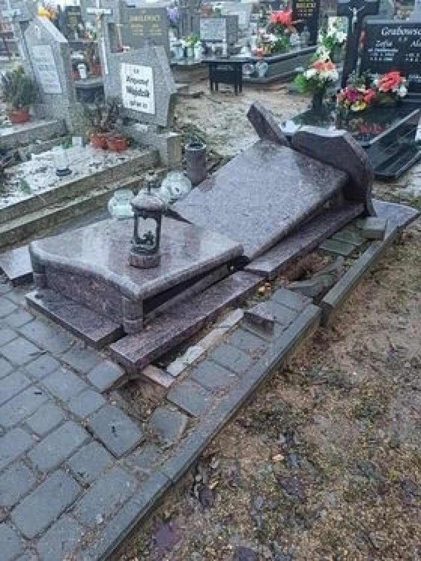 Drzewo runęło na cmentarzu w Łabiszynie - zdjęcia.