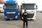 Policjanci odzyskali w Grucznie ciężarówki skradzione w Niemczech [zdjęcia]