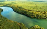 Rzeka Rurzyca: Zdjęcia jednej z najpiękniejszych rzek w Polsce [GALERIA]