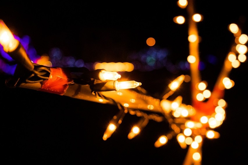 Ludomy. 30 tysięcy świątecznych lampek rozświetliło gospodarstwo