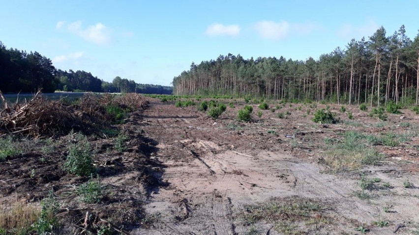 S7. Ekspresówką z Warszawy nad morze. Kiedy gotowa będzie cała droga?