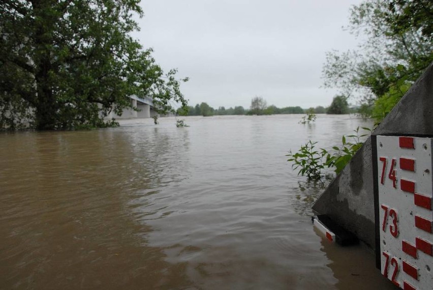 Gmina Annopol. Mija 10 lat od jednej z największych powodzi w regionie. Zobacz zdjęcia dokumentujące tę tragedię