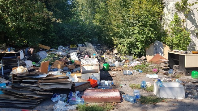 Tony śmieci znajdują się na dzikich wysypiskach w Sosnowcu. MZUK zebrał już 700 ton śmieci w 2020 roku

Zobacz kolejne zdjęcia. Przesuwaj zdjęcia w prawo - naciśnij strzałkę lub przycisk NASTĘPNE