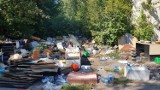 Dzikie wysypiska na terenie Sosnowca. MZUK zebrał już prawie 700 ton odpadów. Zdjęcia przerażają