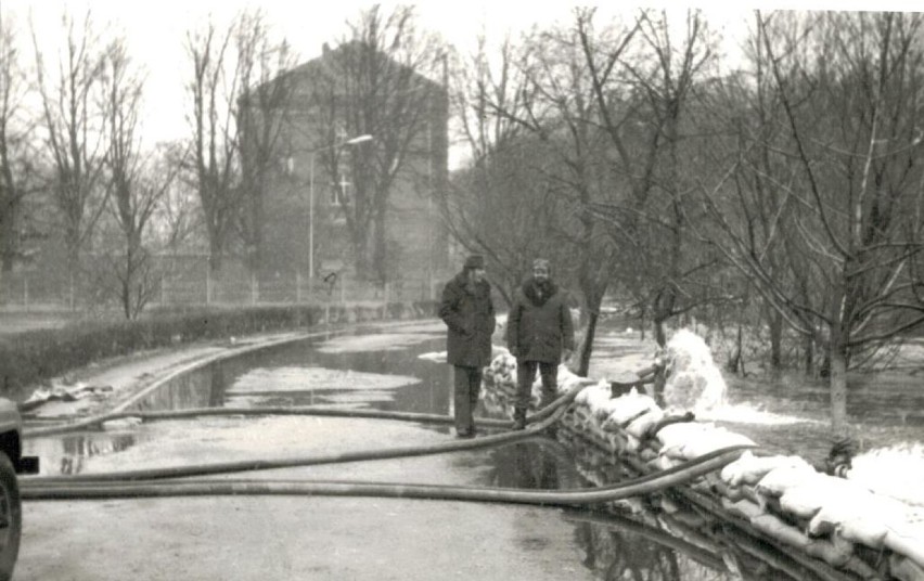 Strażackie archiwa nie płoną. Historia straży pożarnej w Goleniowie na zdjęciach [GALERIA]