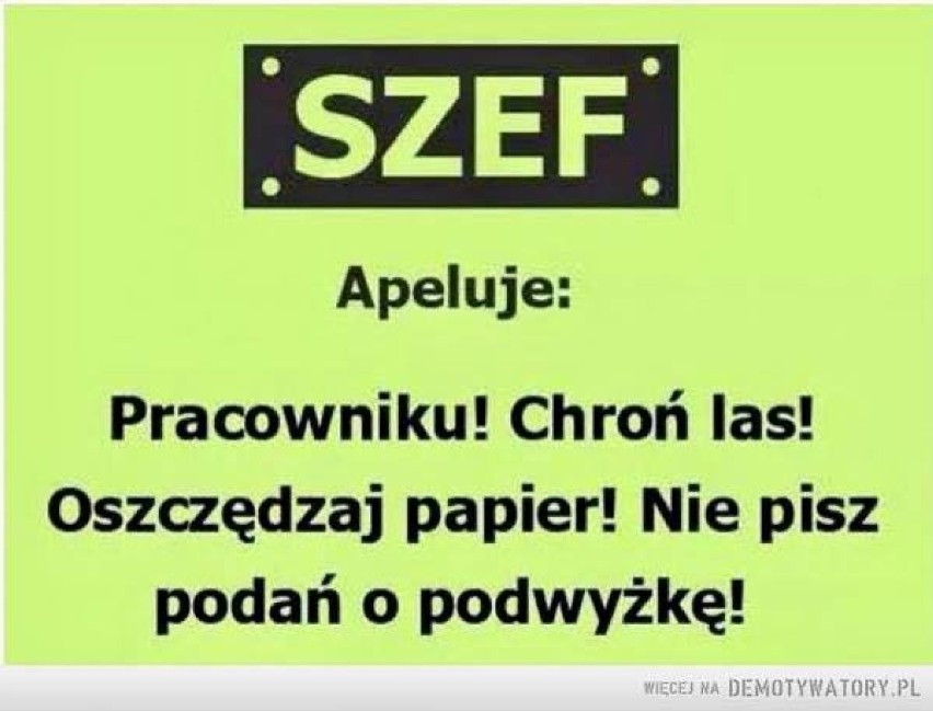 Dzień Ćwiczenia Przed Lustrem Prośby o Podwyżkę Płacy. Tak, to dzisiaj! Zobaczcie najśmieszniejsze MEMY [zdjęcia]