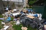 Wielki problem z dzikim wysypiskiem śmieci w środku Kielc. Będzie monitoring terenu? (ZDJĘCIA)