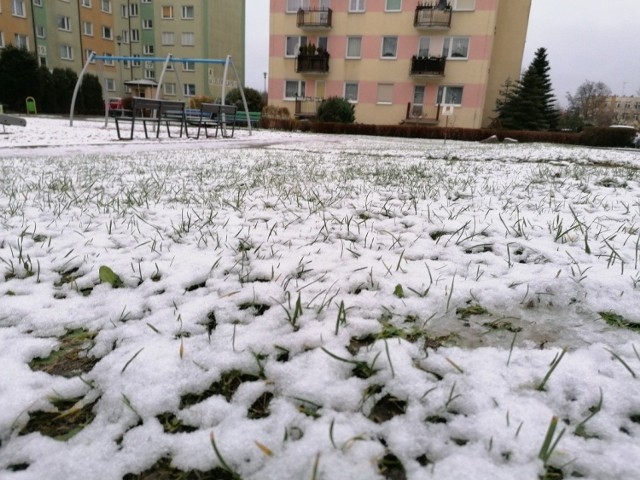 W nocy z wtorku na środę w Koszalinie ponownie pojawiły się opady śniegu.