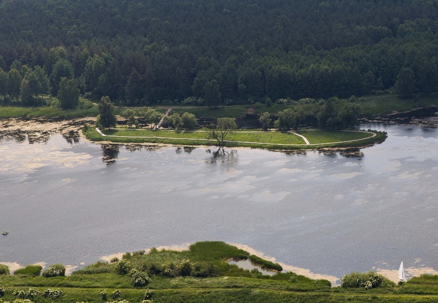 Wyspa przy plaży Dojlidy to miejsce idealne na spacer, łowienie ryb lub fotografowanie przyrody (zdjęcia)  