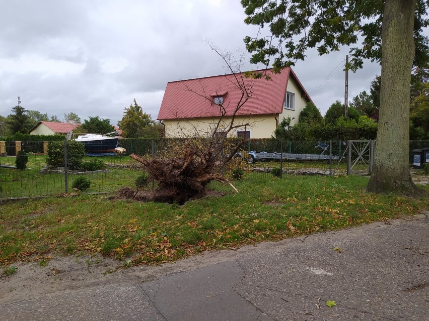 Wichura nad Świnoujściem. Zerwana linia energetyczna. Mieszkańcy bez prądu