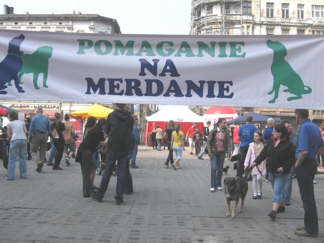 Piknik &quot;Pomaganie na merdanie&quot;