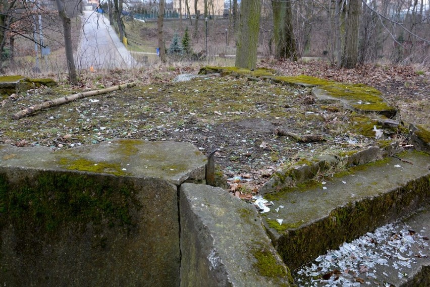 Spacerkiem po Morzeszczynie. Stolica gminy okiem Andrzeja Połomskiego [ZDJĘCIA]