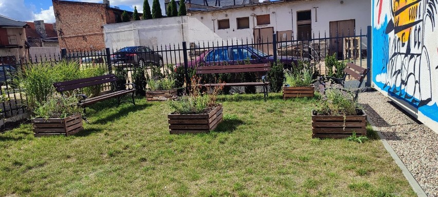 Mieszkańcy mogą wypoczywać w ogródku społecznym przy ul....